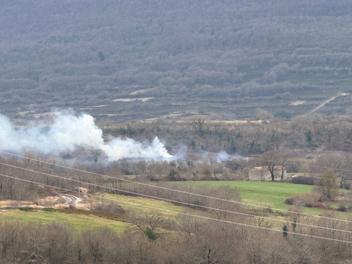 WhatsApp Image 2026-01-16 at 11.38.03