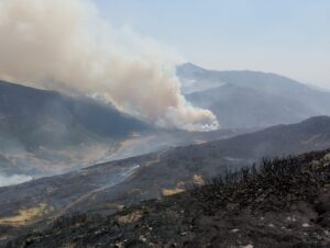 WhatsApp Image 2026-01-16 at 11.39.51