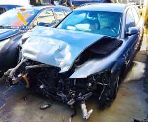 WhatsApp Image 2026-01-20 at 13.15.13