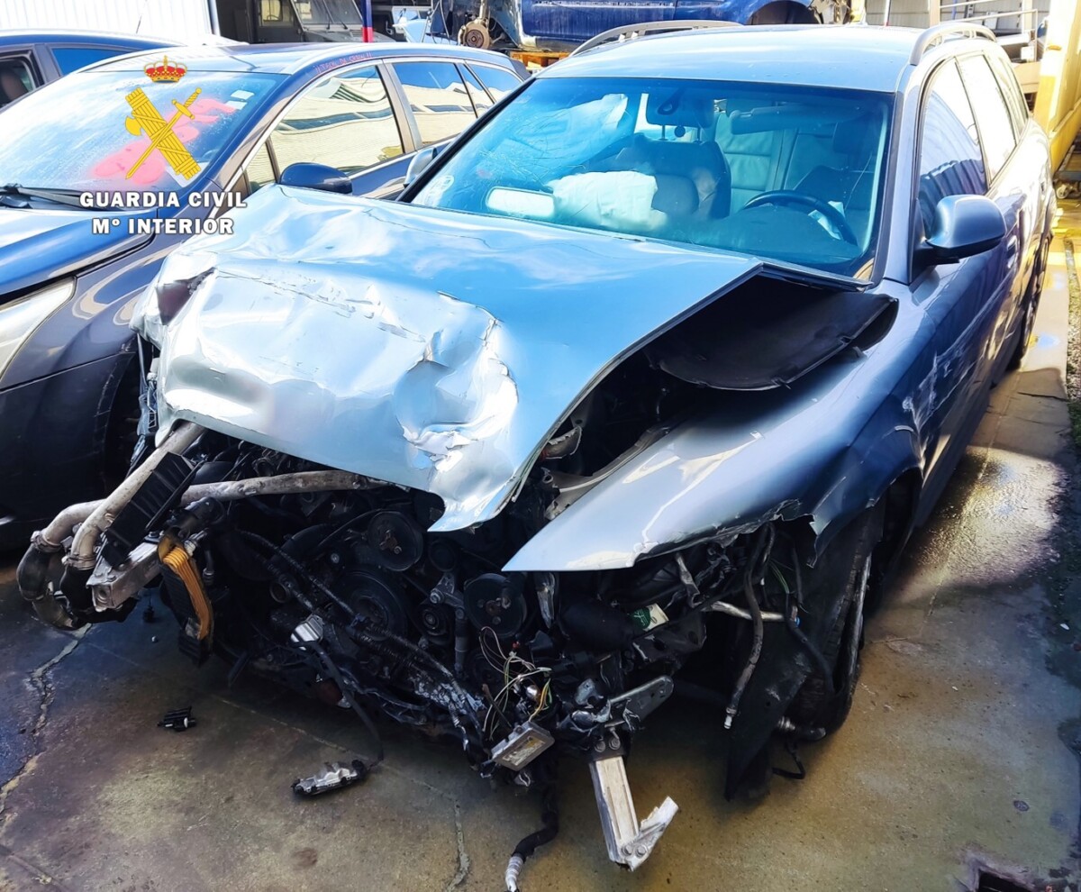 WhatsApp Image 2026-01-20 at 13.15.13