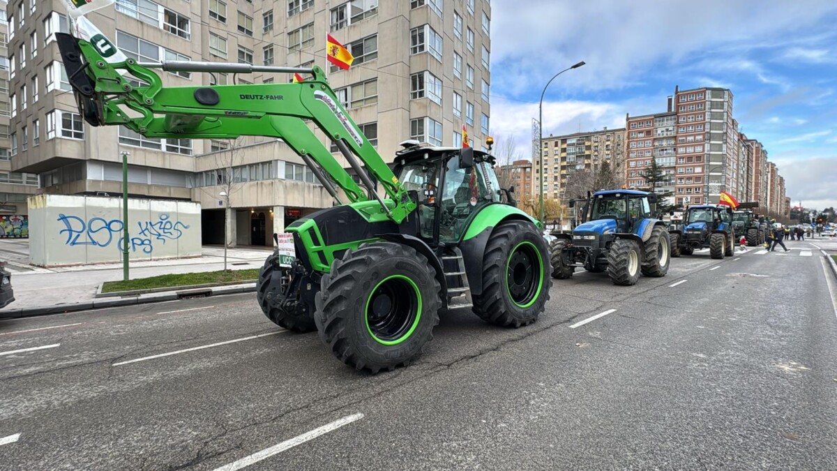 WhatsApp Image 2026-01-20 at 14.47.18