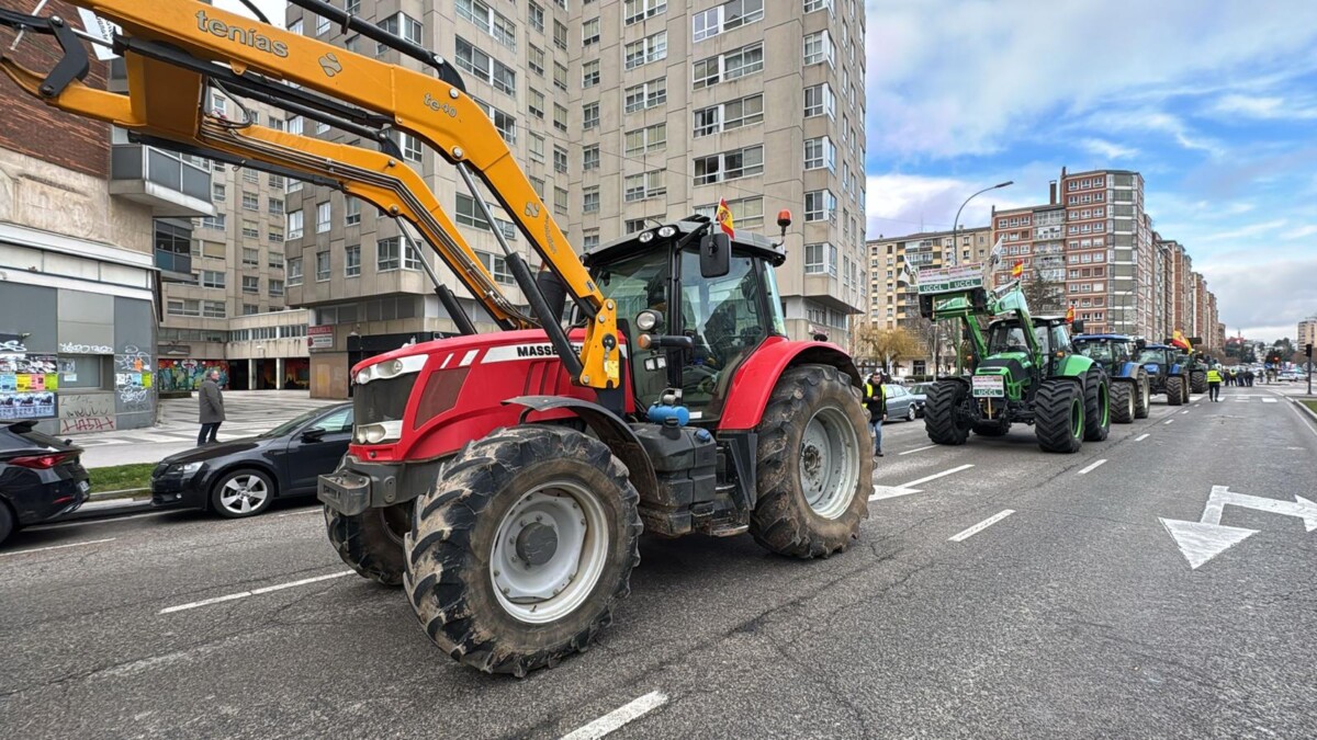 WhatsApp Image 2026-01-20 at 14.47.19