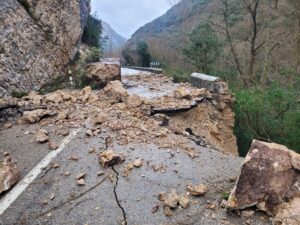 WhatsApp Image 2026-02-02 at 12.08.46