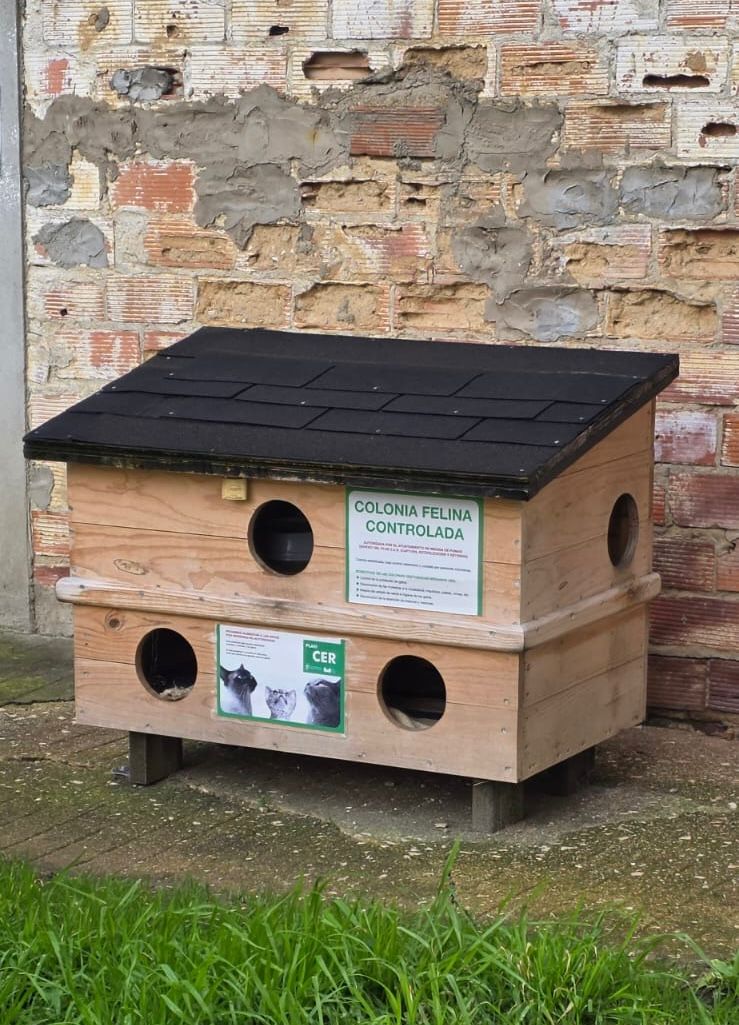 WhatsApp Image 2026-02-05 at 12.05.55 (1)