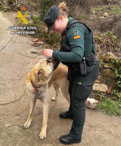 WhatsApp Image 2026-02-07 at 09.54.29