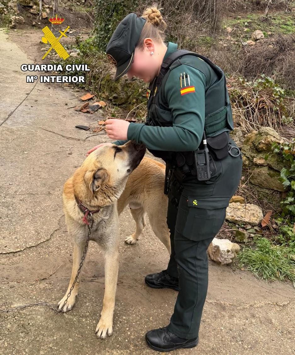 WhatsApp Image 2026-02-07 at 09.54.29