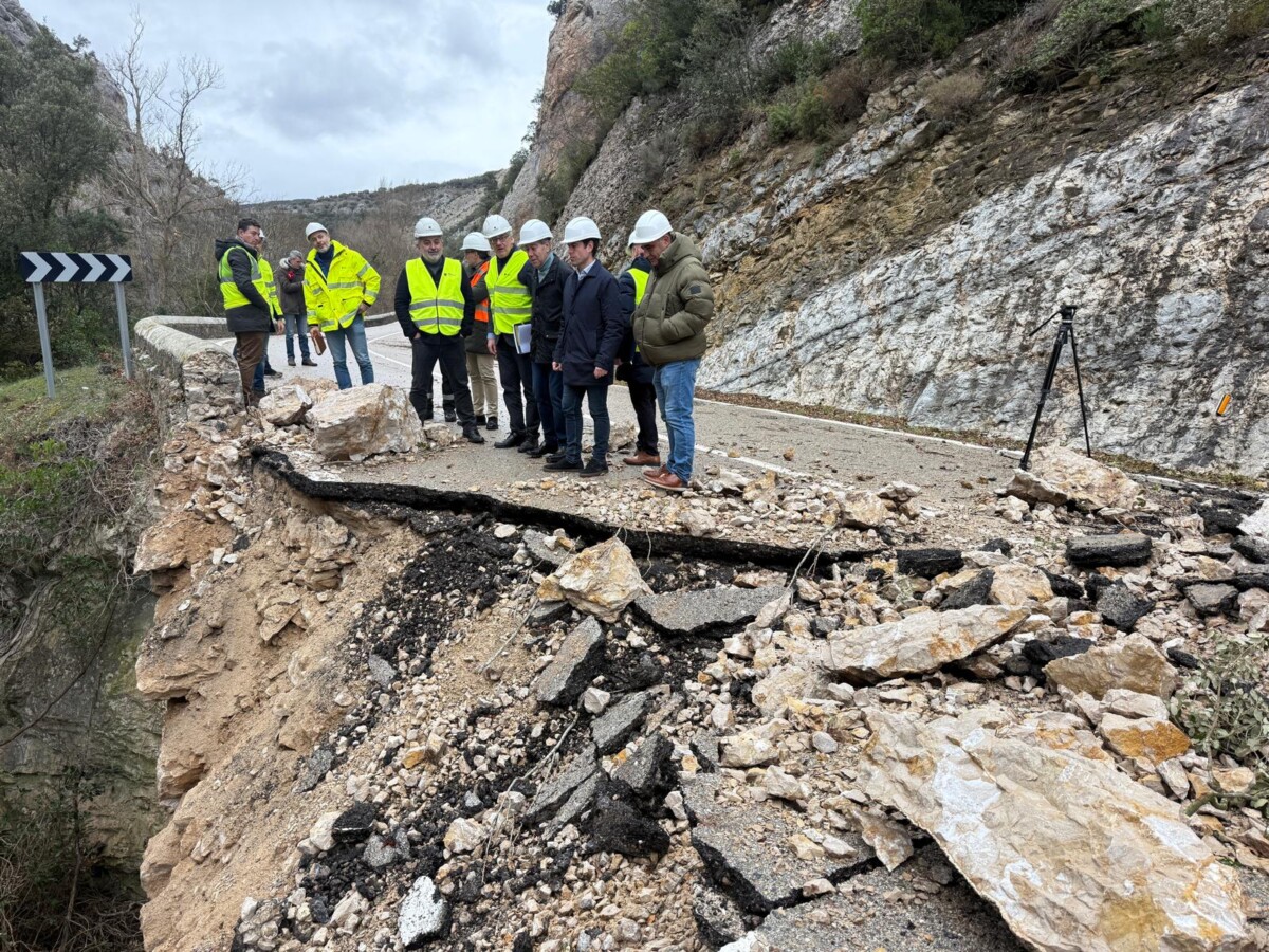 WhatsApp Image 2026-02-13 at 16.21.22