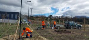 WhatsApp Image 2026-02-16 at 20.28.49