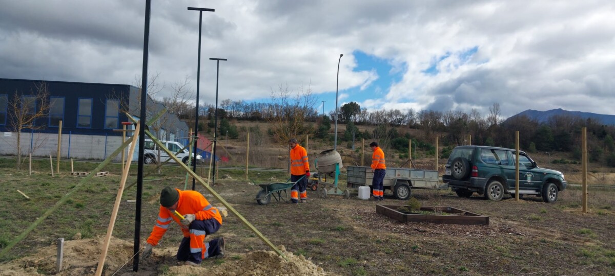 WhatsApp Image 2026-02-16 at 20.28.49