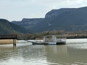 WhatsApp Image 2026-02-20 at 14.58.31