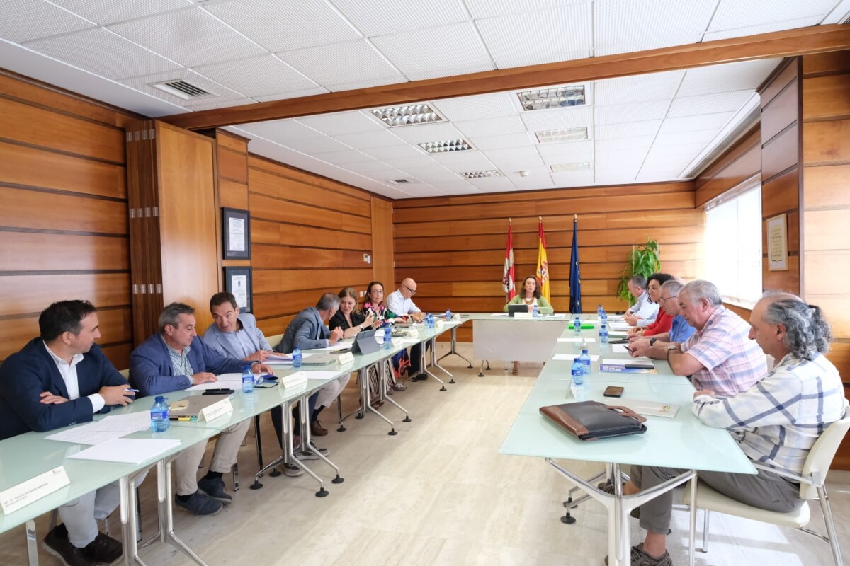 WhatsApp+Image+2025-07-22+at+14.24.40