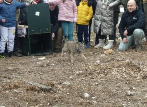 WhatsApp+Image+2026-02-18+at+13.52.16