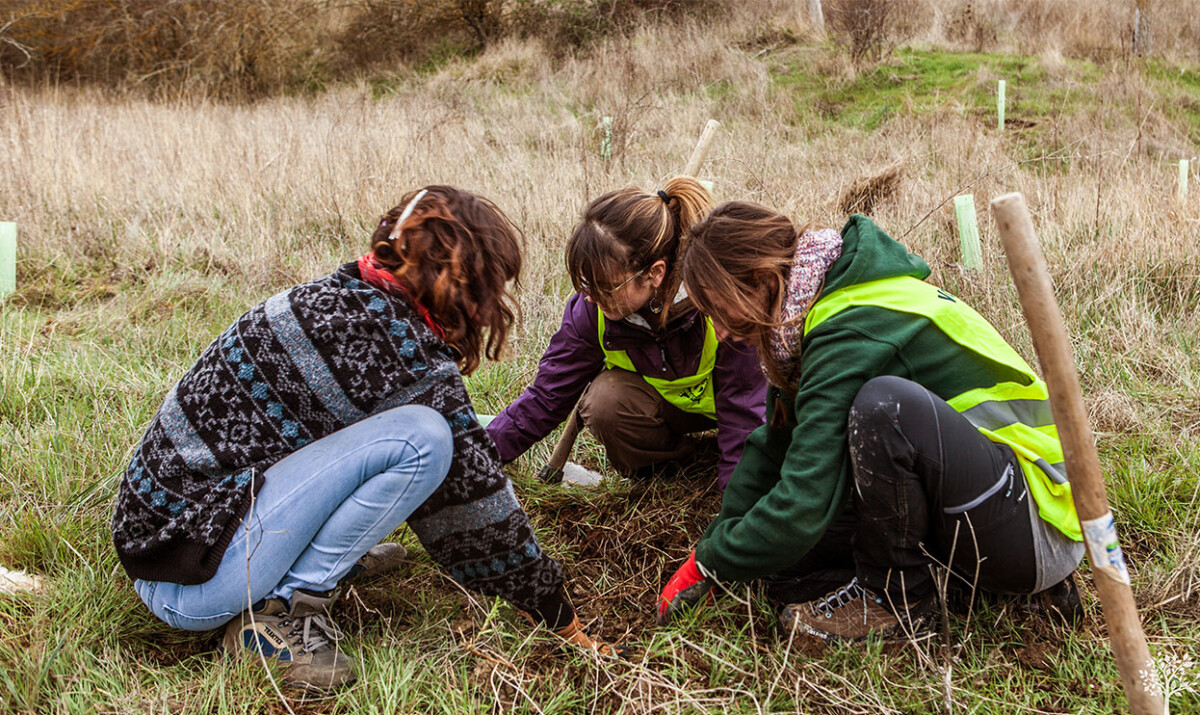 acciones-en-terreno-asociacion-abrego-burgos