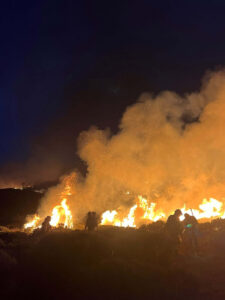 bomberos-forestales-de-castilla-y-leon-se-concentr
