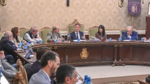 borja-suarez-preside-pleno-diputacion-burgos_98