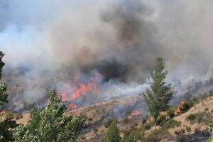 burgos-en-alerta-por-alto-riesgo-de-incendios-fore