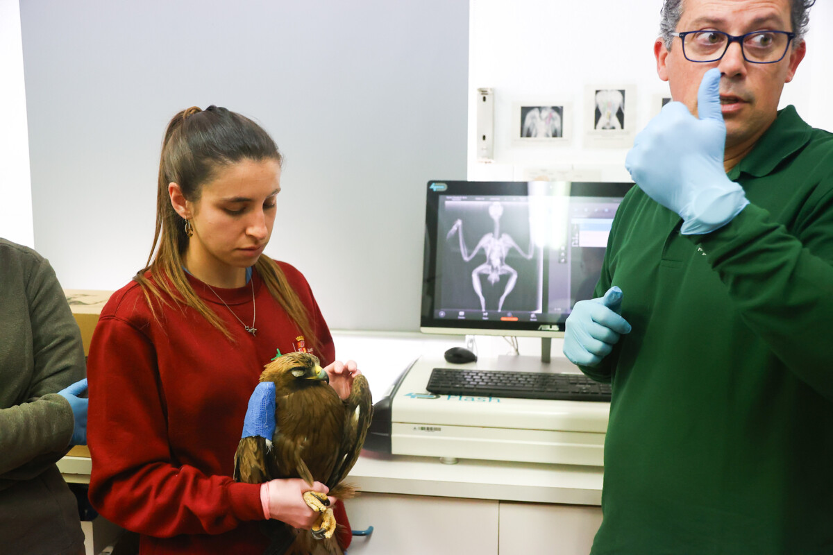 burgos-refuerza-su-papel-en-la-red-de-recuperacion