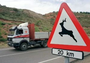 castilla-y-leon-concentra-1-de-cada-4-accidentes-d