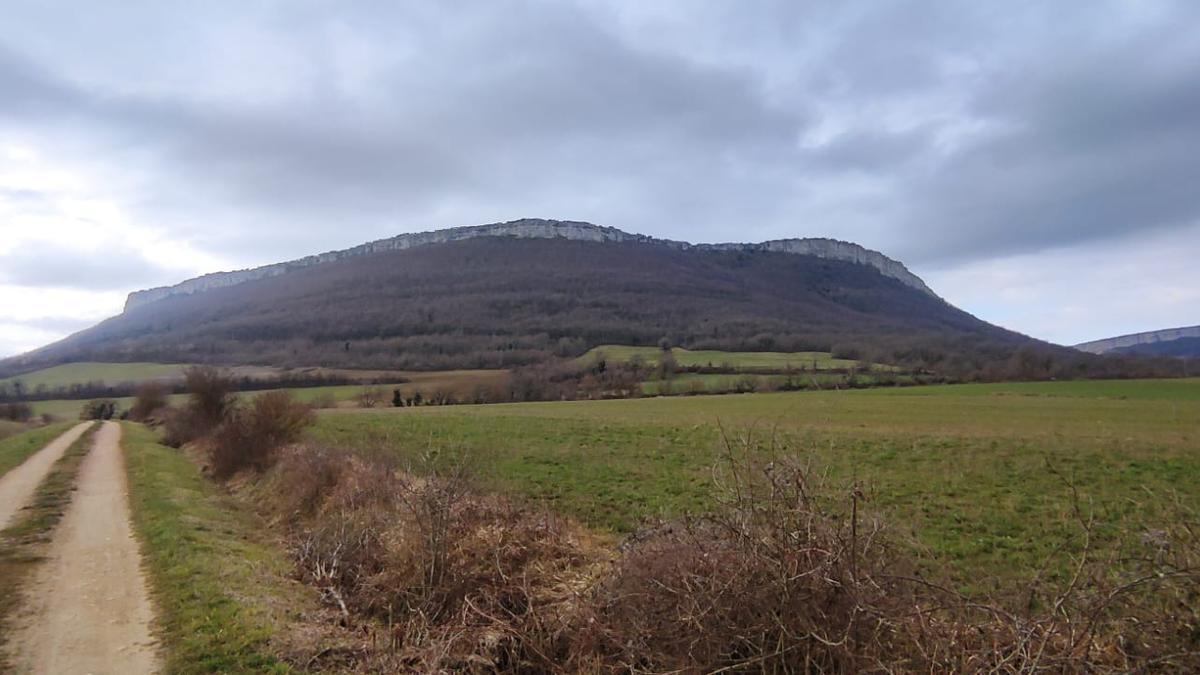 catorce-ayuntamientos-de-nuestra-comarca-reciben-a
