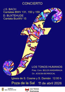 concierto-poza-de-la-sal