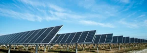 desestimado-un-proyecto-de-parque-solar-en-la-bure