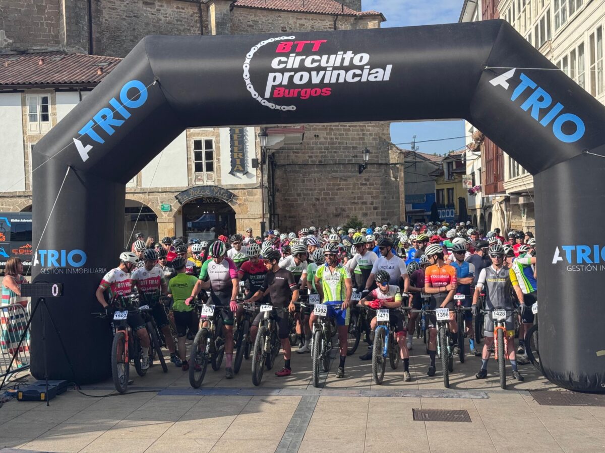 e1e98764-12b0-4b40-9472-cd8bf7ccf3d0