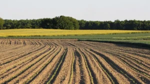 el-ministerio-de-agricultura-lanza-la-convocatoria