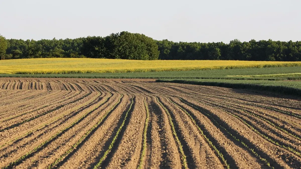 el-ministerio-de-agricultura-lanza-la-convocatoria