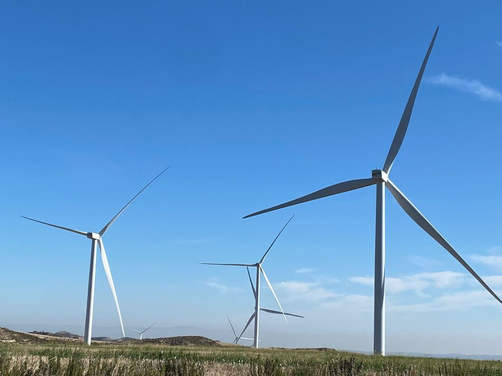 el-ministerio-para-la-transicion-ecologica-rechaza