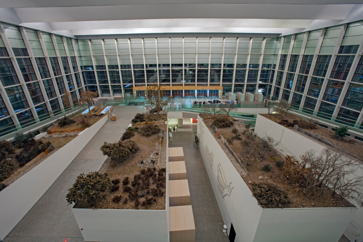 el-museo-de-la-evolucion-humana-lanza-una-nueva-ap