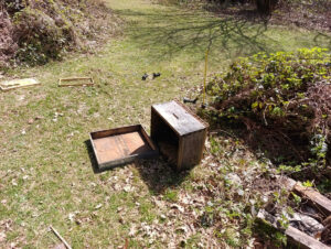 el-oso-vuelve-a-atacar-colmenas-de-las-merindades-