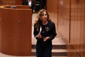 el-psoe-pide-a-la-junta-de-cyl-la-creacion-de-un-p