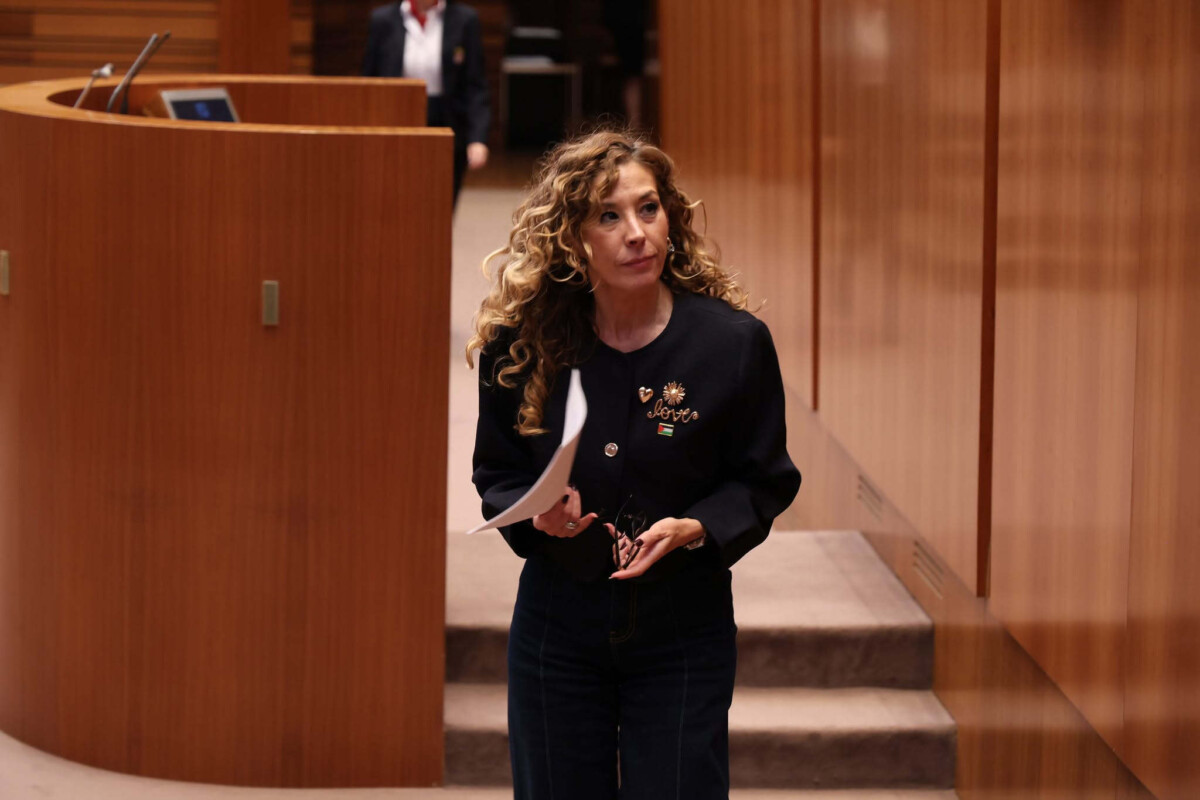 el-psoe-pide-a-la-junta-de-cyl-la-creacion-de-un-p