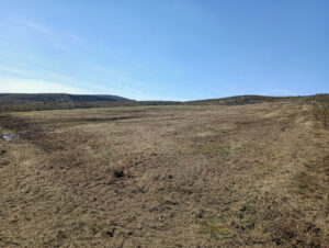 estado_tras_actuacion_merindades