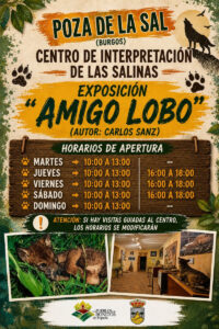 exposicion-amigo-lobo-poza-de-la-sal