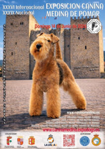 exposicion-canina-medina