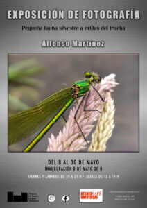 exposicion-fotografia-alfonso-martinez