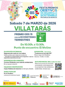 fiesta-premios-ods-villataras