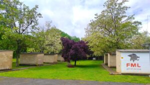 fml-pirotecnia-berguenda-2-min-1-scaled