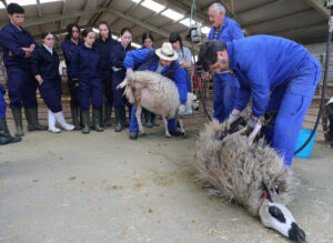 la-asociacion-de-pueblos-olvidados-de-burgos-pide-