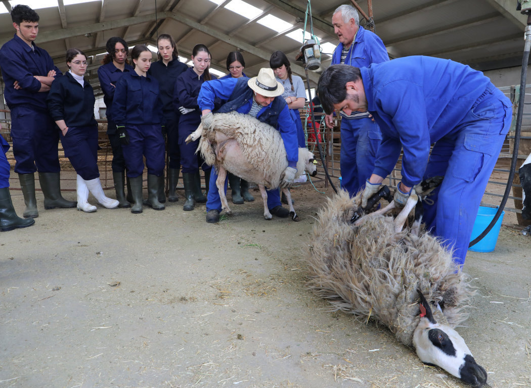 la-asociacion-de-pueblos-olvidados-de-burgos-pide-