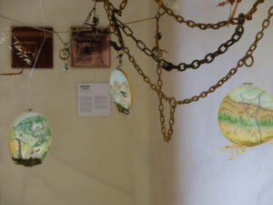 la-asociacion-imagenes-y-palabras-lanza-una-nueva-