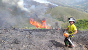 la-cuadrilla-forestal-de-villarcayo-amplia-su-acti