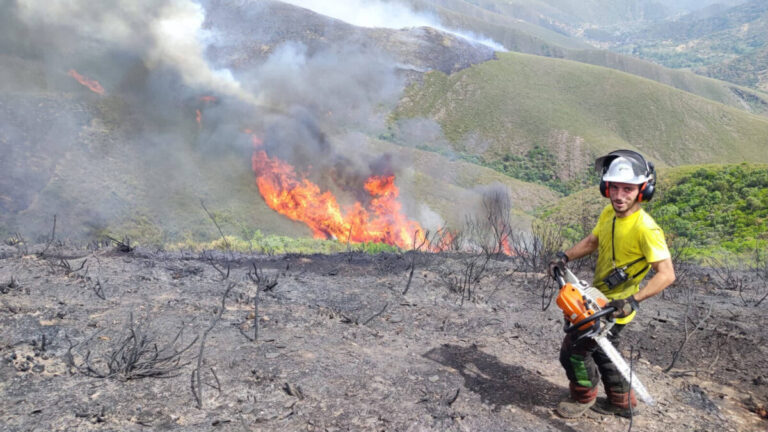 la-cuadrilla-forestal-de-villarcayo-amplia-su-acti