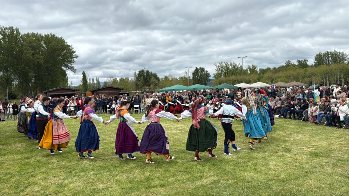 la-fiesta-de-las-asociaciones-merindades-castellan