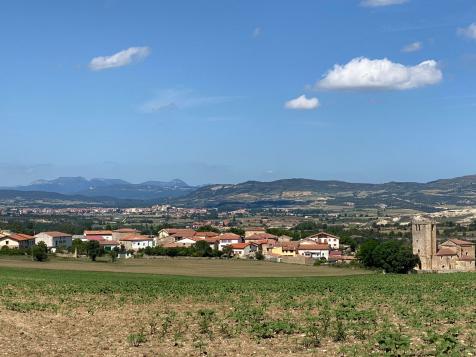 laaldea_3
