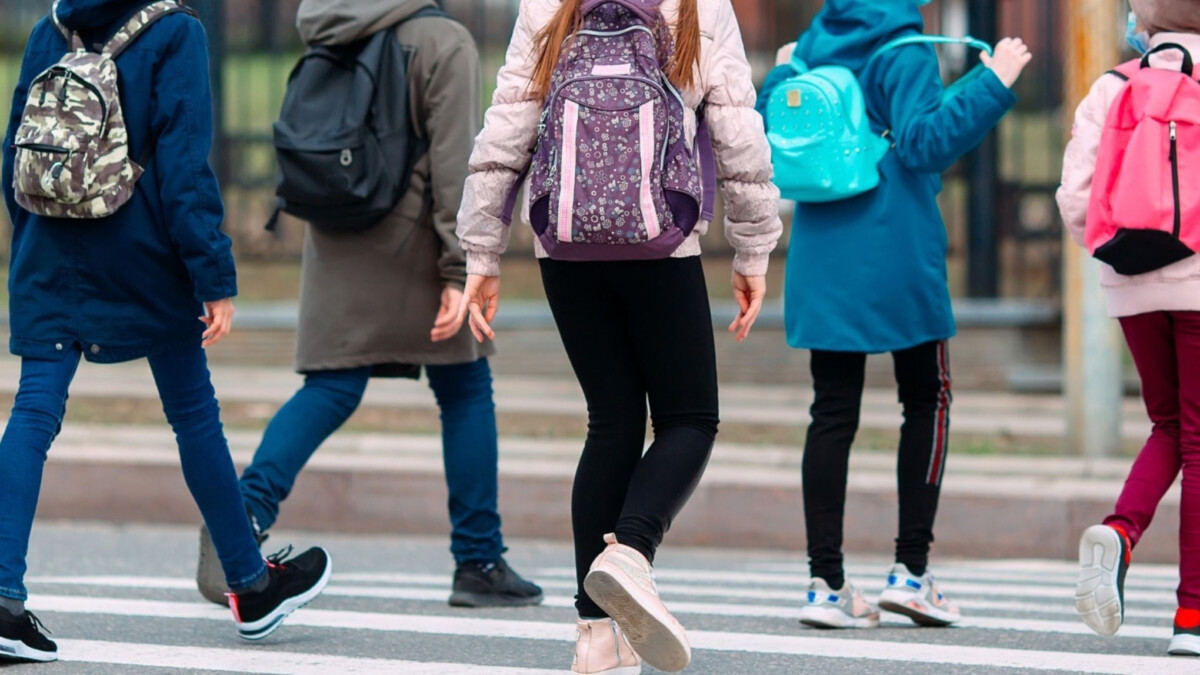 las-ayudas-para-estudiantes-con-necesidad-de-apoyo