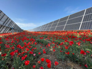 las-cuatro-plantas-fotovoltaicas-de-solaria-en-la-