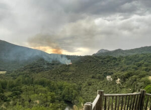 los-incendios-intencionados-calcinan-cerca-de-260-