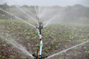 los-pueblos-de-nuestra-comarca-optaran-a-la-nueva-